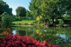 Lago con fioritura al Parco Sigurtà di Valeggio sul Mincio