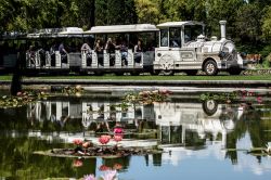 Il trenino per la visita in relax del Parco Sigurtà