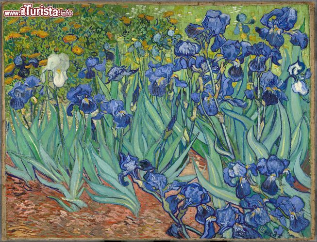 Immagine Gli Iris di Van Gogh, uno dei capolavori esosti al Getty Museum di Los Angeles