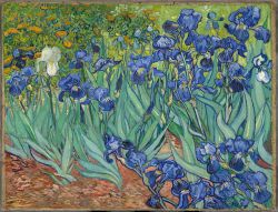 Gli Iris di Van Gogh, uno dei capolavori esosti al Getty Museum di Los Angeles