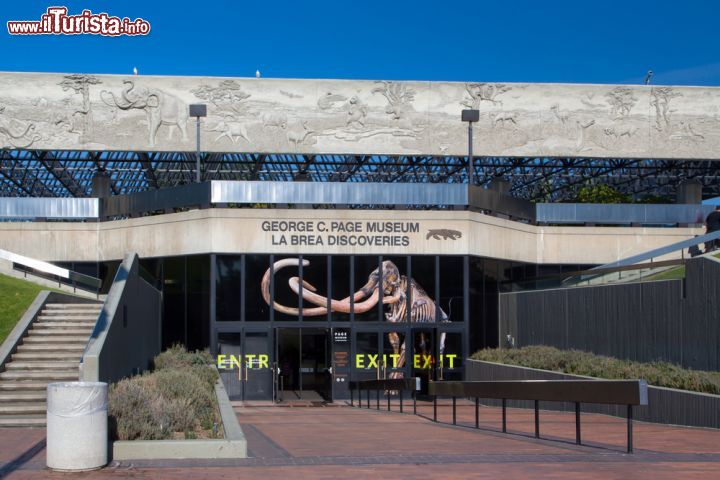 Immagine Ingresso al George page Museum di La Brea Tar Pits a Los Angeles. Un mammut segnala che qui troverete i fossili dei grandi mammiferi trovati imprigionati nella loro tomba di asfalto e bitume, durante le ultime ere glaciali in California  - © Ken Wolter / Shutterstock.com