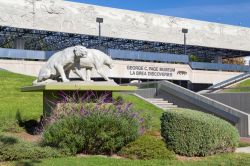 Ad ovest del centro a Los Angeles troviamo il grande Page Museum: ospita i reperti fossili estratti dalle adiacenti La Brea Tar Pits, delle pozze di catrame e bitumi formatesi durante le ere ...