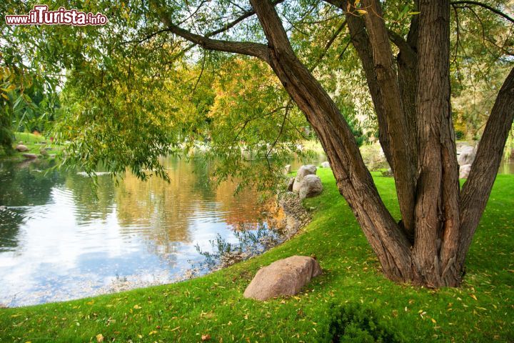 Immagine Uno dei polmoni verdi di Tallin è il Parco Kadriorg, all'interno del quale si trova il palazzo che ospita il Museo Estone d'Arte ed anche il Museo Kumu © Anna Grigorjeva / Shutterstock.com