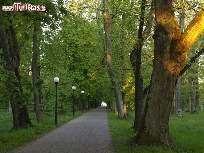 Immagine Passeggiata nel parco di Palazzo Kadriorg, la residenza barocca di Tallin in stile Petrino si trova nella parte orientale della capitale dell'Estonia- © Andres Ello / Shutterstock.com