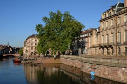 Le placide acque del fiume Ill affiancate dalla bella facciata di Palais Rohan a Strasburgo - © Pack-Shot / Shutterstock.com