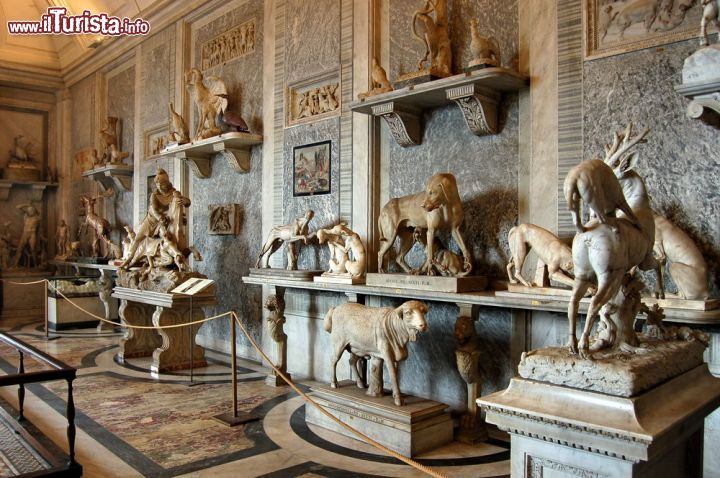Immagine La particolare Sala degli Animali si trova all'interno dei Musei Vaticani di Roma ed è uno dei luoghi più particolari di tutto il museo