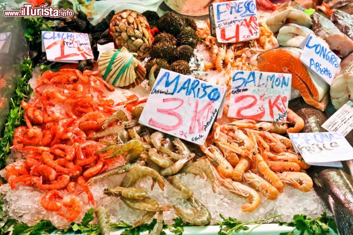 Immagine Una coloratissima bancarella di pesce e crostacei esposti nel Mercado Central del centro di Valencia (Spagna) - © Anastasia Petrova / Shutterstock.com