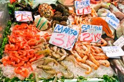 Una coloratissima bancarella di pesce e crostacei esposti nel Mercado Central del centro di Valencia (Spagna) - © Anastasia Petrova / Shutterstock.com