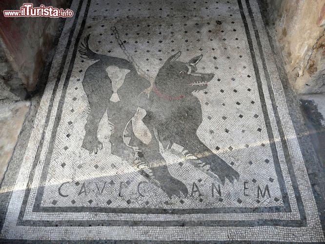 Immagine Il famoso mosaico pavimentale di Pompei, "Cave Canem" con l'avviso di attenti al cane posto all'ingresso di un casa nella antica cittàromana alle pendici sud  del monte Vesuvio - © khd / Shutterstock.com