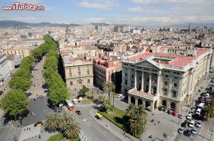 Immagine La vista dal Mirador de Colom a Barcellona: a sinistra il viale alberato della Rambla de Santa Monica. sulla destra un edificio della difesa spagnola - © Philip Lange / Shutterstock.com