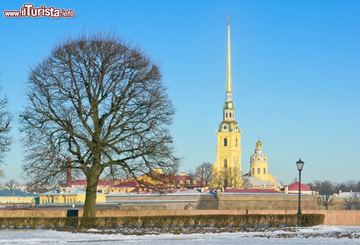 Immagine La torre campanaria della Cattedrale dei Santi Pietro e Paolo della Fortezza di San Pietroburgo, domina la skyline lungo il fiume Neva: è alta ben 122 metri - © Andrew Koturanov / Shutterstock.com