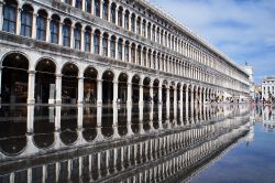 Le procuratie vecchie si estendono lungo il lato nord della Piazza San Marco, e sotto ai 50 portici e le 100 finestre, si trovano negozi alla moda e varie attività commerciali - © ...