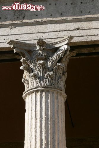 Immagine Dettaglio di un capitello corinzio del tempio di Minerva ad Assisi  - © Wolfgang Sauber / wikipedia.org