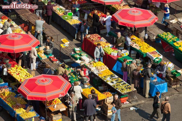 Immagine Le bancarelle di frutta e verdura accendono di colore la piazza Ban Jelacic durante il Dolac Market - © paul prescott / Shutterstock.com