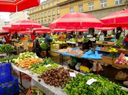 La frutta e le verdure del Dolac Market sono esposte con cura, sotto una distesa di obrelloni rossi che riparano la merce dal sole e dai rovesci di pioggia tipici di Zagabria  - © ...