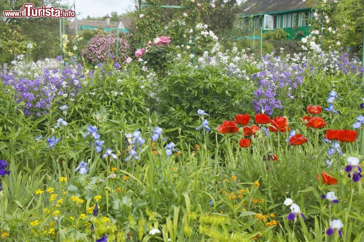 Immagine Fioritura alla casa di Claude Monet. Siamo in Alta Normadia nella città di Giverny, nord della Francia - © Joseph Sohm / Shutterstock.com