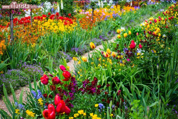 Immagine I colori di Clos Normand, fotografare la fioritura dei giardini di Claude Monet, che furono di grande ispirazione al pittore impressionista francese - © Oleg Bakhirev / Shutterstock.com