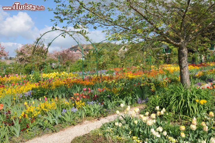 Immagine Il parco che circonda Casa Monet deve essere visitato soprattutto in primavera, quando la fioritura accende di colore il paesaggio, e sembra di camminare all'interno di uno dei quadri del pittore impressionista - © Pack-Shot / Shutterstock.com