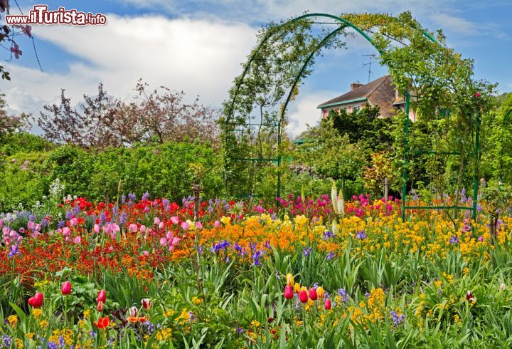 Immagine Clos Normand a primavera: è il momento della fioritura primaverile il periodo perfetto per vedere la magia di questo giardino che fu creato da Cloude Monet alla fine del XIX° e l'inizio del XX secolo - © irakite / Shutterstock.com