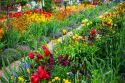 I colori di Clos Normand, fotografare la fioritura dei giardini di Claude Monet, che furono di grande ispirazione al pittore impressionista francese - © Oleg Bakhirev / Shutterstock.com ...
