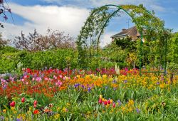 Clos Normand a primavera: è il momento della fioritura primaverile il periodo perfetto per vedere la magia di questo giardino che fu creato da Cloude Monet alla fine del XIX° e l'inizio ...