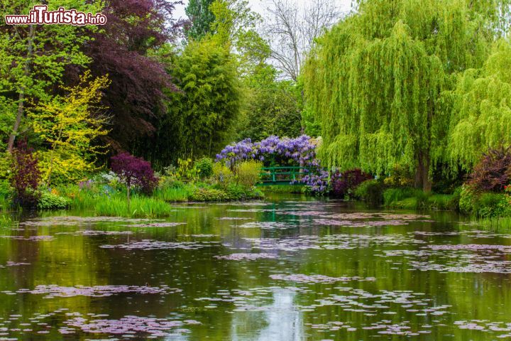 Immagine Il giardino d'acqua di Casa Monet a Giverny - © Oleg Bakhirev / Shutterstock.com