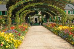 Viale in Clos Normand, il giardino disegnato dal pittore Monet - © Pack-Shot / Shutterstock.com