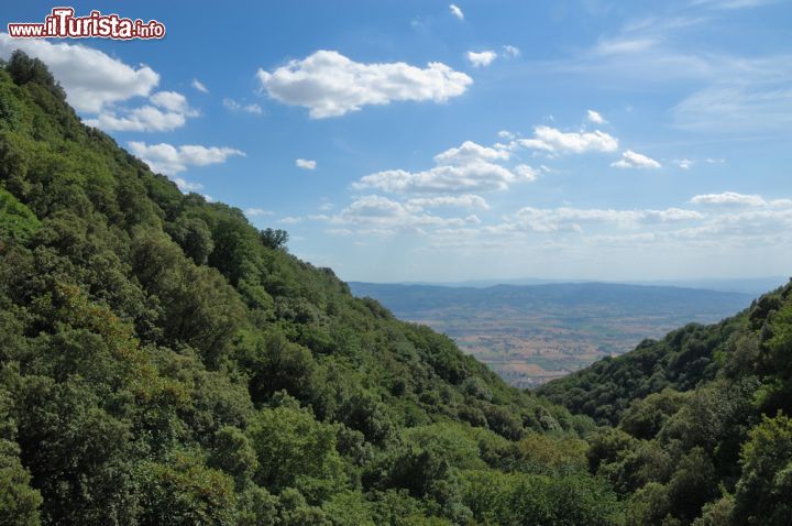 Immagine Panorama dall'Eremo delle Carceri, Assisi - A poco meno di 4 chilometri da Assisi, a 791 metri di altitudine sul Monte Subasio, sorge l'Eremo delle Carceri da cui si può ammirare un suggestivo panorama immerso nella vegetazione più rigogliosa - © 1973kla / Shutterstock.com