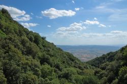 Panorama dall'Eremo delle Carceri, Assisi - A poco meno di 4 chilometri da Assisi, a 791 metri di altitudine sul Monte Subasio, sorge l'Eremo delle Carceri da cui si può ammirare ...