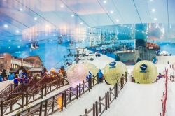 Interno dello Ski Dubai, Emirati Arabi Uniti - E' l'unica stazione sciistica degli Emirati Arabi. Siamo a Dubai dove uno dei più grandi centri commerciali al mondo ospita al suo ...