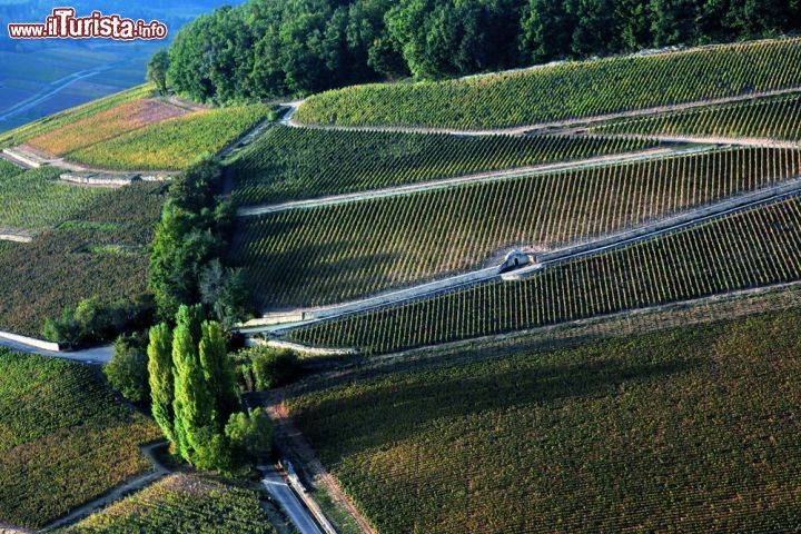 Vigneti di Borgogna – Francia 
Parcelle di vigneti delimitate precisamente sulle pendici della costa di Nuits e Beaune, a sud di Dijon, le “climats”, come sono chiamate in francese, si differenziano le une dalle altre per le specifiche condizioni naturali che le caratterizzano (geologia, esposizione al sole, uva…). Create dal lavoro dell’uomo, si sono a poco a poco specializzate in rapporto alla qualità di vino che producono. Questo suggestivo paesaggio è composto da due elementi. Il primo riunisce le parcelle vitivinicole, le unità di produzione associata e la città di Beaune rappresentando la dimensione commerciale del sistema di produzione. Il secondo è formato invece dal centro storico di Djion, in origine un castrum romano sulla strada fra Lione e Magonza noto anche con il nome di Divio. E’ capoluogo del dipartimento della Cote-d’Or e della regione della Borgogna. Il sito è un eccellente esempio di produzione vitivinicola sviluppata a partire dall’alto Medioevo. - © UNESCO / Jean-Louis Bernuy