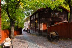 Passeggiando nel Parco Skansen di Stoccolma (Svezia) - © Roman Vukolov / Shutterstock.com