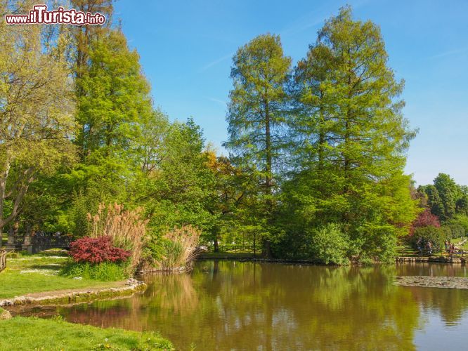 Immagine Gli alberi secolari del Parco Sempione a Milano - © Claudio Divizia / Shutterstock.com