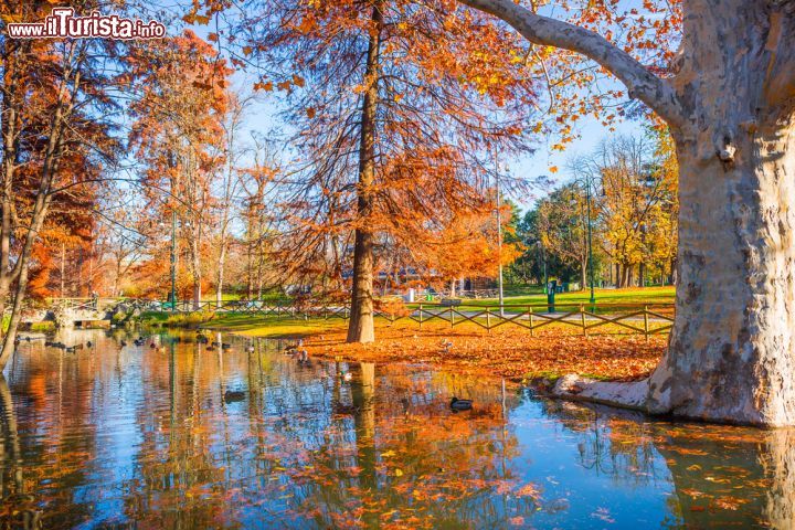 Immagine In autunno i grandi alberi di latifoglie nel Parco Sempione di Milano regalano uno spettacolo di colori con il loro "foliage"- © Saknarong Tayaset / Shutterstock.com