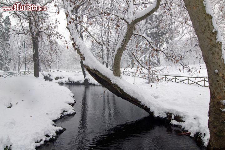 Immagine Magie invernali: ecco come si presnta il Parco Sempione di Milano dopo un nevicata a gennaio