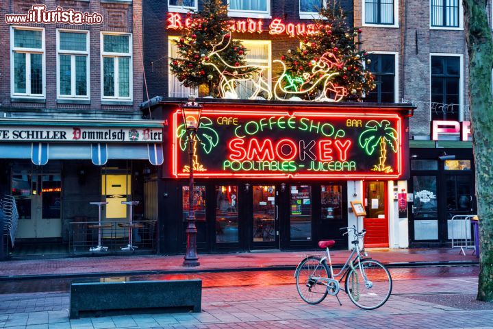 Immagine Un Coffee shop a Rembrandtplein, uno dei punti di attrazione della piazza dedicata al pittore olandese Rembrandt van Rijn- © Steven Bostock / Shutterstock.com