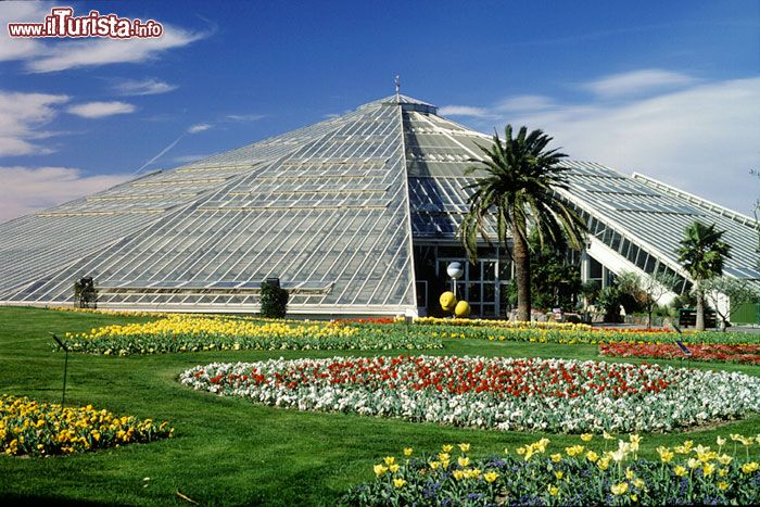 Immagine Il diamante verde è la grande serra di Nizza e si trova al Parc Phoenix. Con la sua particolare forma a piramide, le le vestrate di oltre diecimila metri quadri, è la più vasta serra in Europa