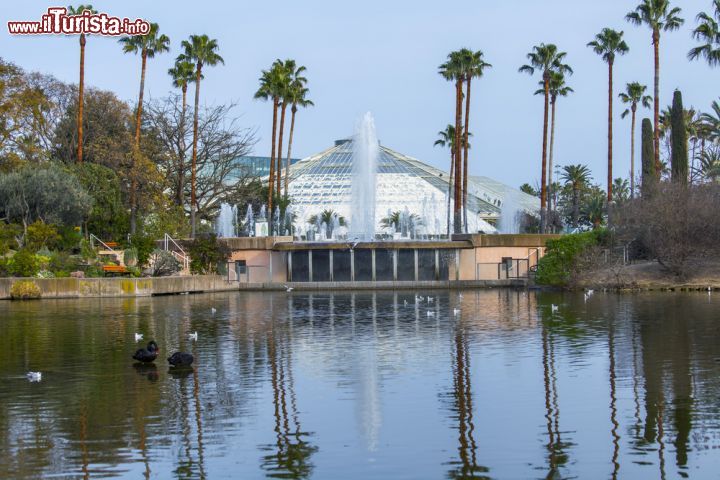 Immagine La serra piu grande d'Europa, sullo sfondo, si chiama Diamant Vert a forma di piramide, ed è l'attrazione principale del Parc Phoenix, il grande giardino nel centro di Nizza, in Francia - © bellena / Shutterstock.com