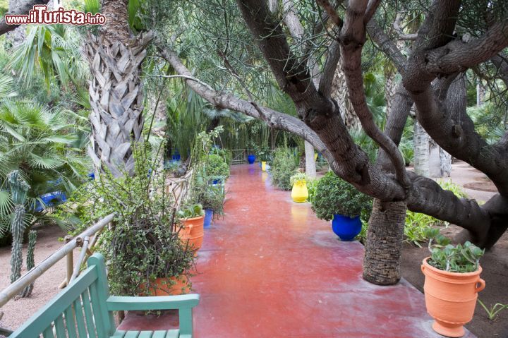 Immagine Sono più di 300 le varietà di piante che potete ammirare all'interno del Giardino Majorelle di Marrakech - © The Visual Explorer / Shutterstock.com