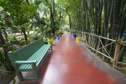 Passeggiando lungo i viali pedonali del Giardino Majorelle di Marrakech in Marocco- © The Visual Explorer / Shutterstock.com 