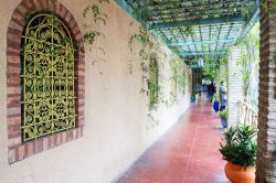 La villa di Majorelle venne chiamata Oasi dai suoi nuovi illustri proprietari: Yves Saint Laurent ed il compagno ed industriale Pierre Bergè che l'acquistarono nel 1980- © The ...