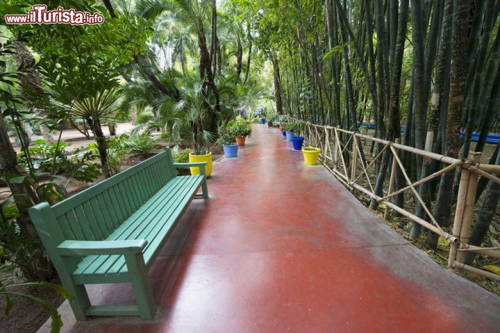 Immagine Passeggiando lungo i viali pedonali del Giardino Majorelle di Marrakech in Marocco- © The Visual Explorer / Shutterstock.com