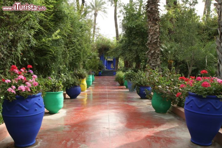 Immagine Un vialetto all'interno dei vasto giardino Majorelle di Marrakech. La tenuta che dopo la morte del  pittore francese è andata in proprietà a Yves Saint Laurent, si estende su circa 4 ettari e rimane appena a nord-ovest del centro della città imperiale del Marocco - © Dainis Derics / Shutterstock.com