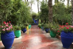 Un vialetto all'interno dei vasto giardino Majorelle di Marrakech. La tenuta che dopo la morte del  pittore francese è andata in proprietà a Yves Saint Laurent, si estende ...