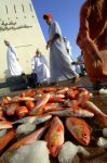 Pesci del Golfo di Oman esposti al mercato del ...