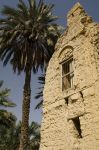 Rovine a Muscat - Copyright Ufficio del ...