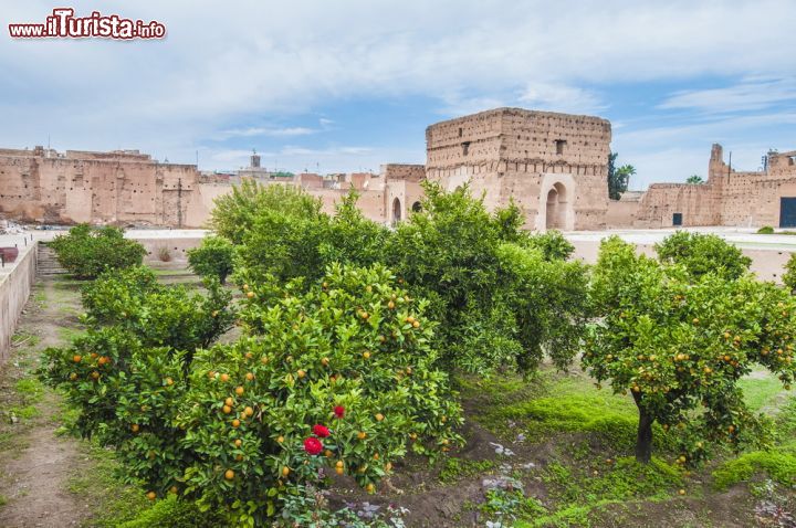 Immagine Aranceto nel cortile del Plais el Badii a Marrkech - © Anibal Trejo / Shutterstock.com