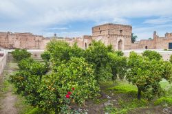 Aranceto nel cortile del Plais el Badii a Marrkech - © Anibal Trejo / Shutterstock.com