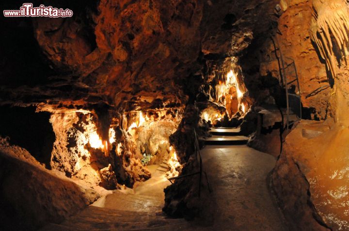 Immagine E' un percorso lungo circa 200 metri, sui 5.000 conosciuti, ad accompagnare alla scoperta di stalattiti e stalagmiti in quello che nell'era glaciale era un antico fiume sotterraneo. La temperatura della grotta di Saint-Cezaire-sur-Siagne è di circa 15° tutto l'anno tant'è che si consiglia un abbigliamento adatto durante la visita oltre alla necessaria attenzione per via della presenza di formazioni calcaree lungo il percorso - © Sonja Vietto Ramus