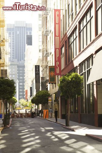 Immagine La famosa via di Maiden Lane a Union Square (San Francisco)